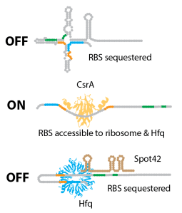 Screen Shot 2018-05-03 at 12.31.49 pm.png