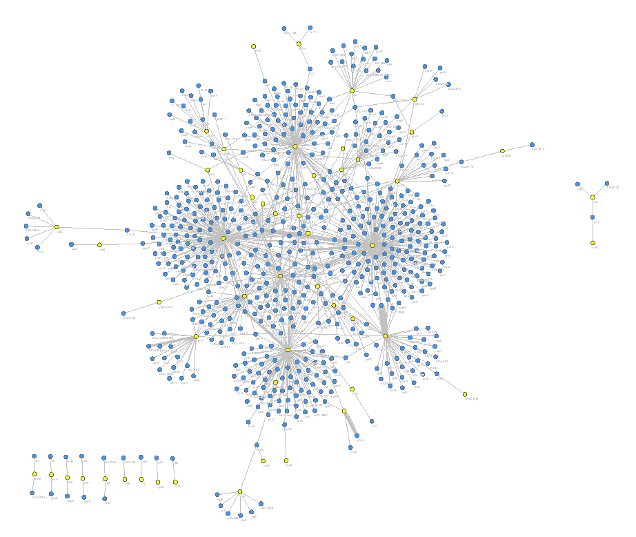 rnaseE_cytoscape copy